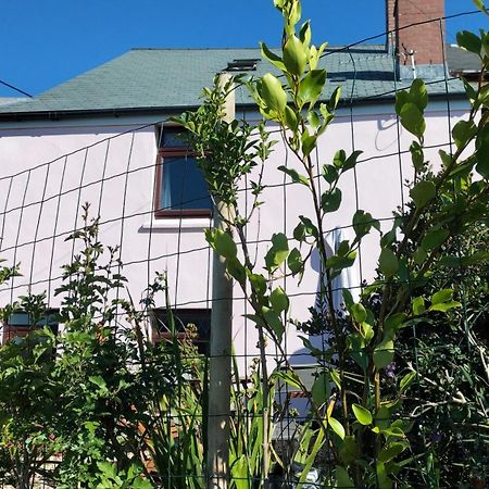 סנט אוסטל Clearview Cottage מראה חיצוני תמונה
