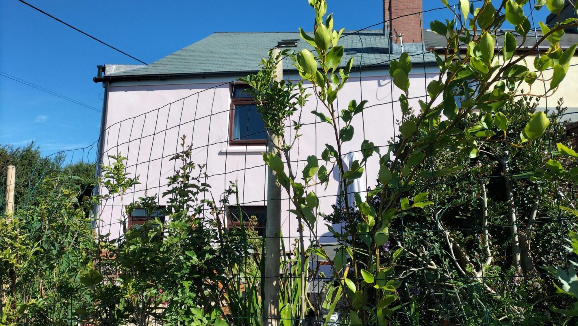 סנט אוסטל Clearview Cottage מראה חיצוני תמונה
